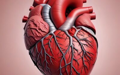 Was sagt der Islam zu Organspende?