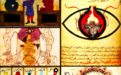 HAKIM: Brücke zwischen medizinischer Expertise und islamischen Werten